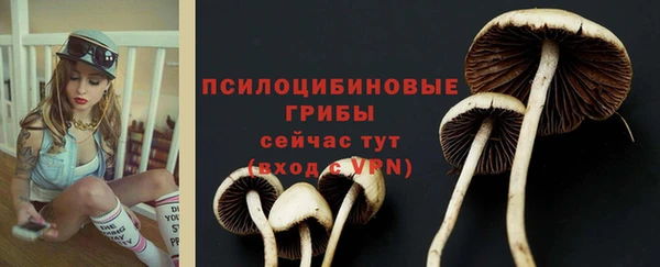наркотики Бородино