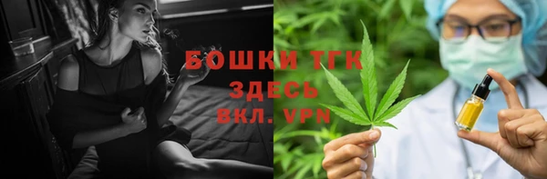 бошки Бронницы