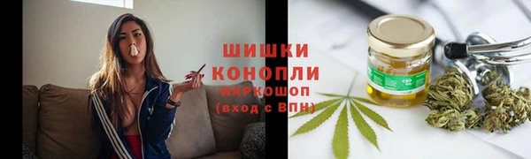 бошки Бронницы