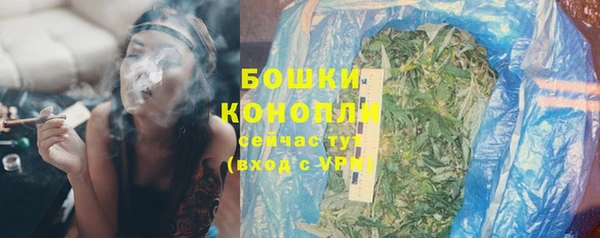 бошки Бронницы
