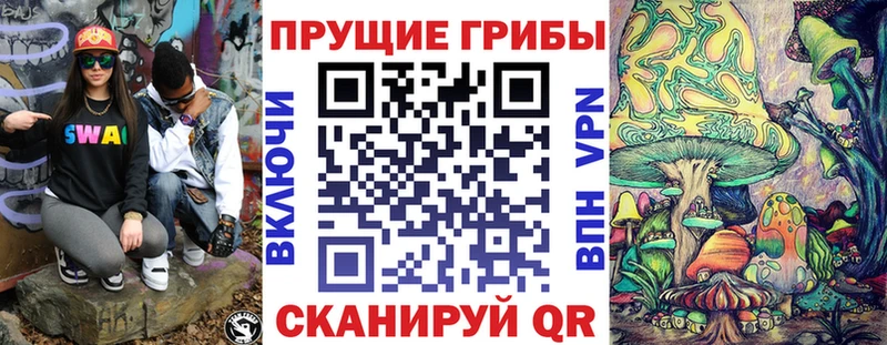 купить наркотик  дарк нет какой сайт  Псилоцибиновые грибы мухоморы  Верхний Тагил 